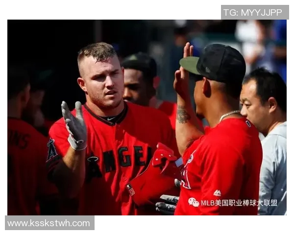 京都创荣与名古屋钻石海豚激战在即球迷期待精彩对决 京都创荣与名古屋钻石海豚激战在即球迷期待精彩对决